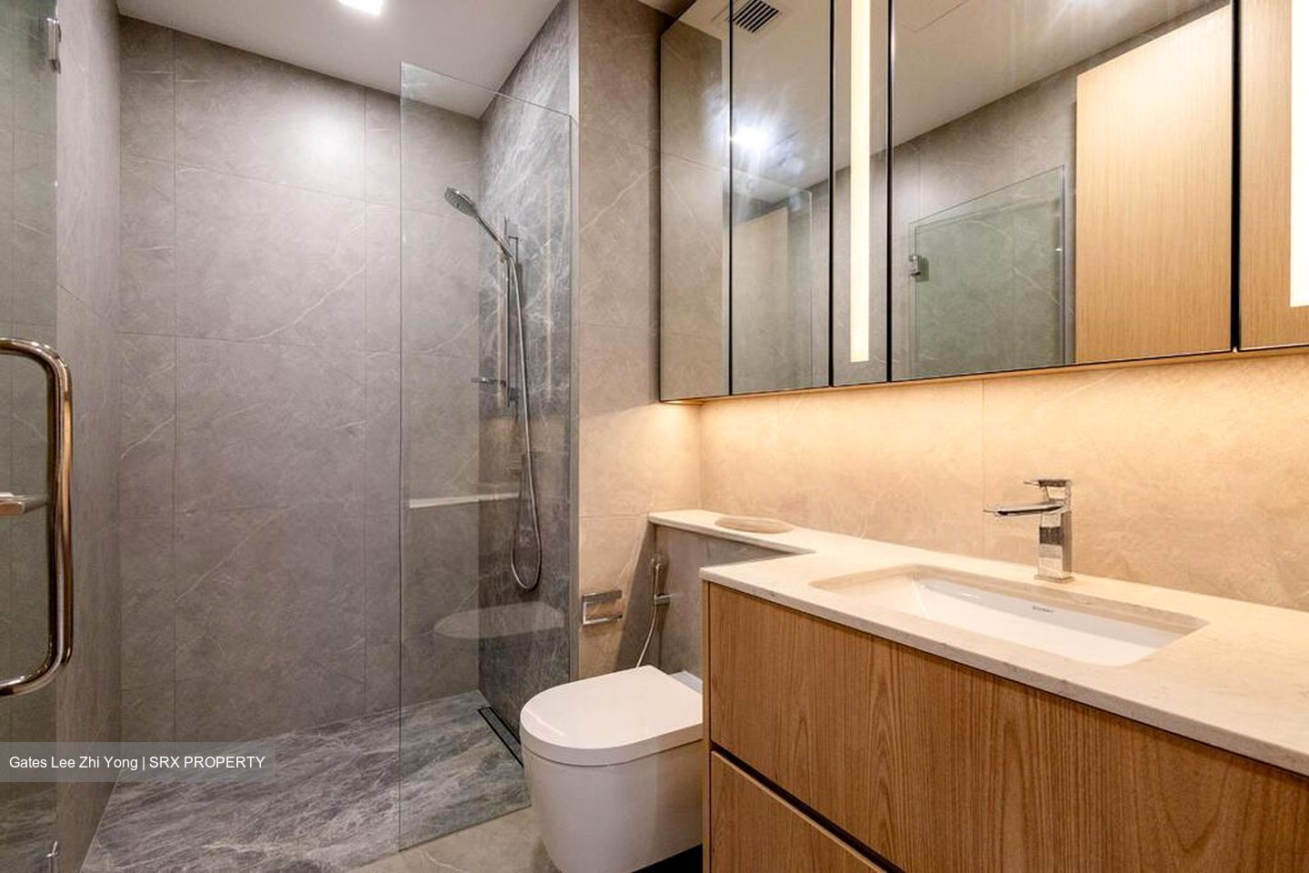 Peak Residence (D11), Condominium #519537961